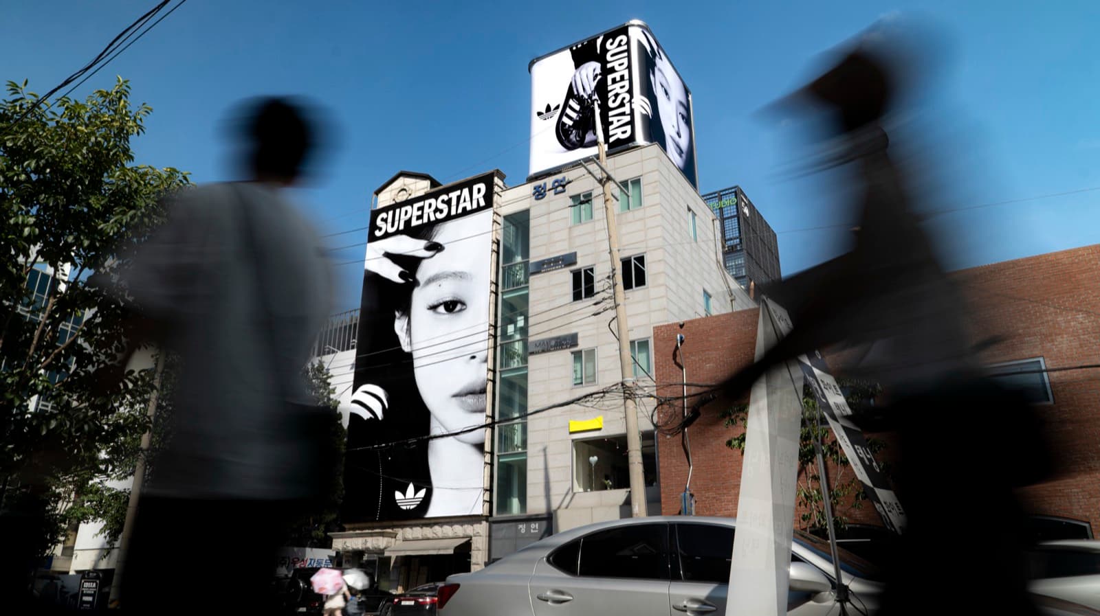 adidas — Superstar